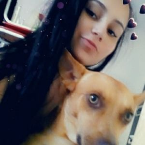 Meet your Posher, Pandy